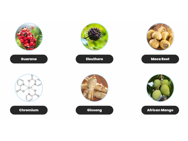 Free Sugar Pro Drops Supplement Ingredients